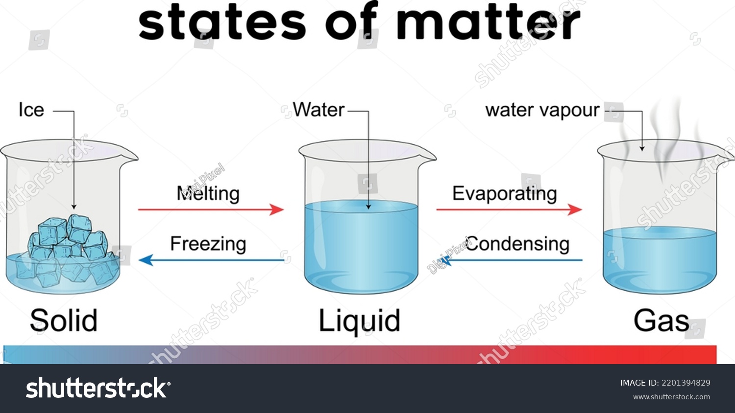 States Matter Solids Liquids Gases Each Stock Vector (royalty Free 