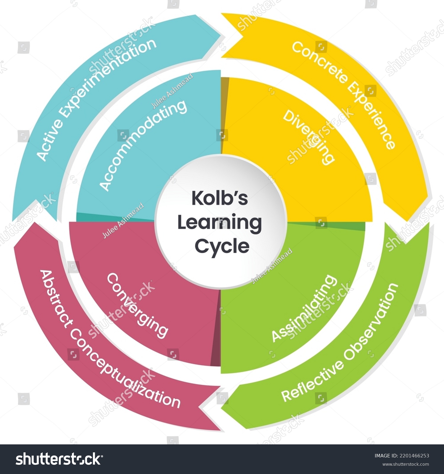 Kolbs Learning Cycle Infographic Vector Illustration Stock Vector ...