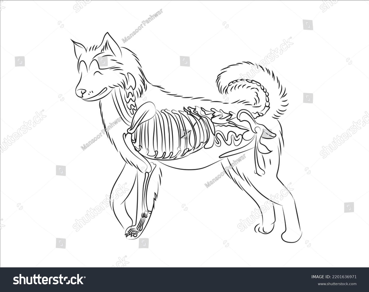 Diagram Showing Internal Organs Dog Anatomy Stock Vector (Royalty Free