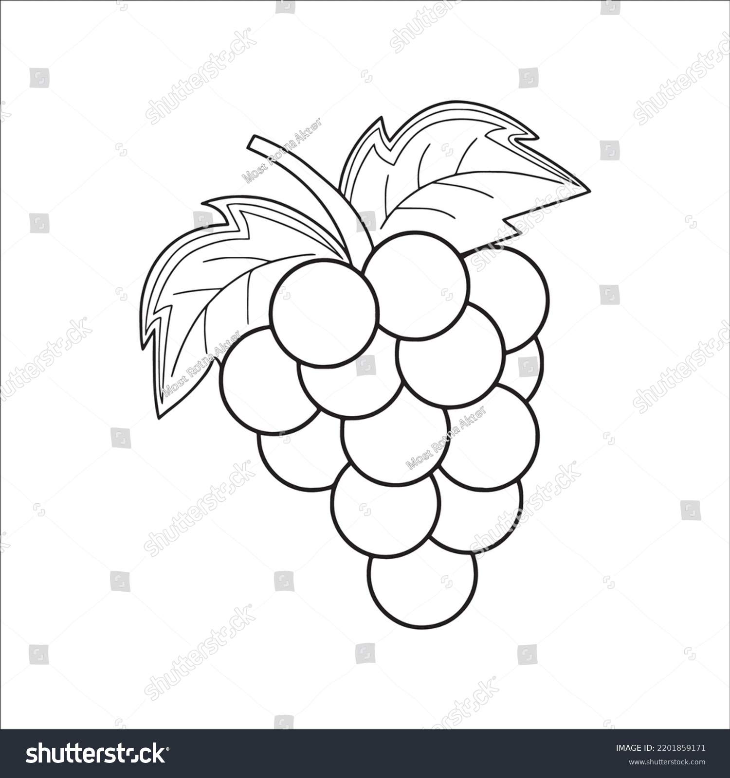 Beautiful Grapes Line Art Imagesgrapes Outline Stock Vector (Royalty ...