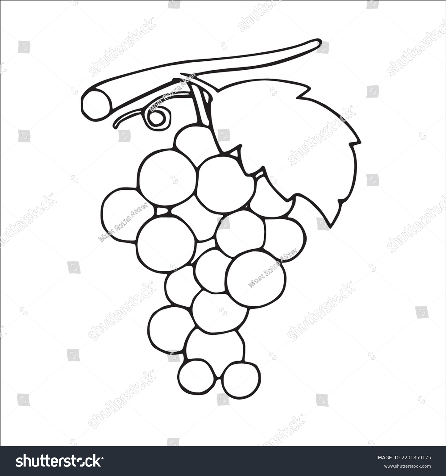 Beautiful Grapes Line Art Imagesgrapes Outline Stock Vector (Royalty ...