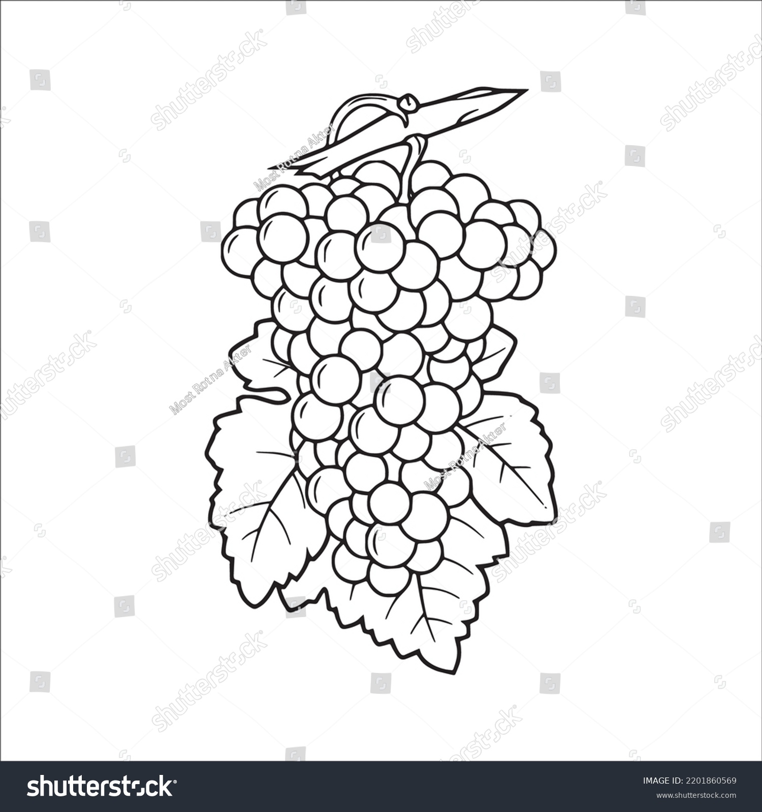 Beautiful Grapes Line Art Imagesgrapes Outline Stock Vector (Royalty ...