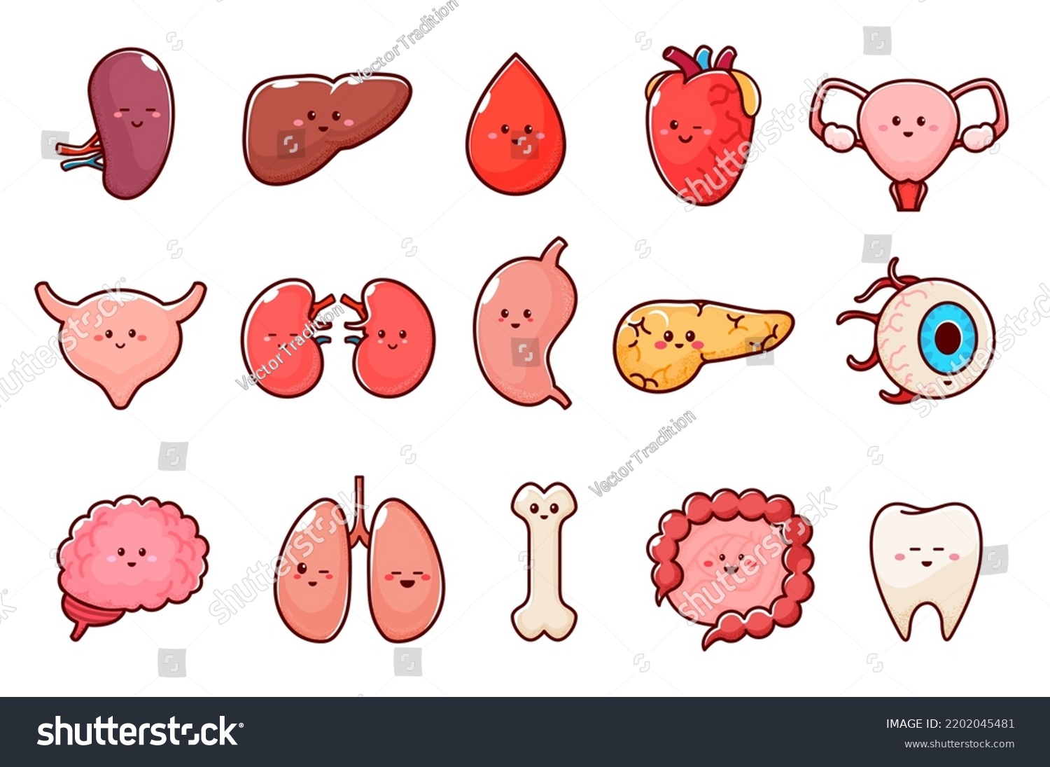 Cartoon Human Body Organ Characters Isolated Stock Vector (Royalty Free ...