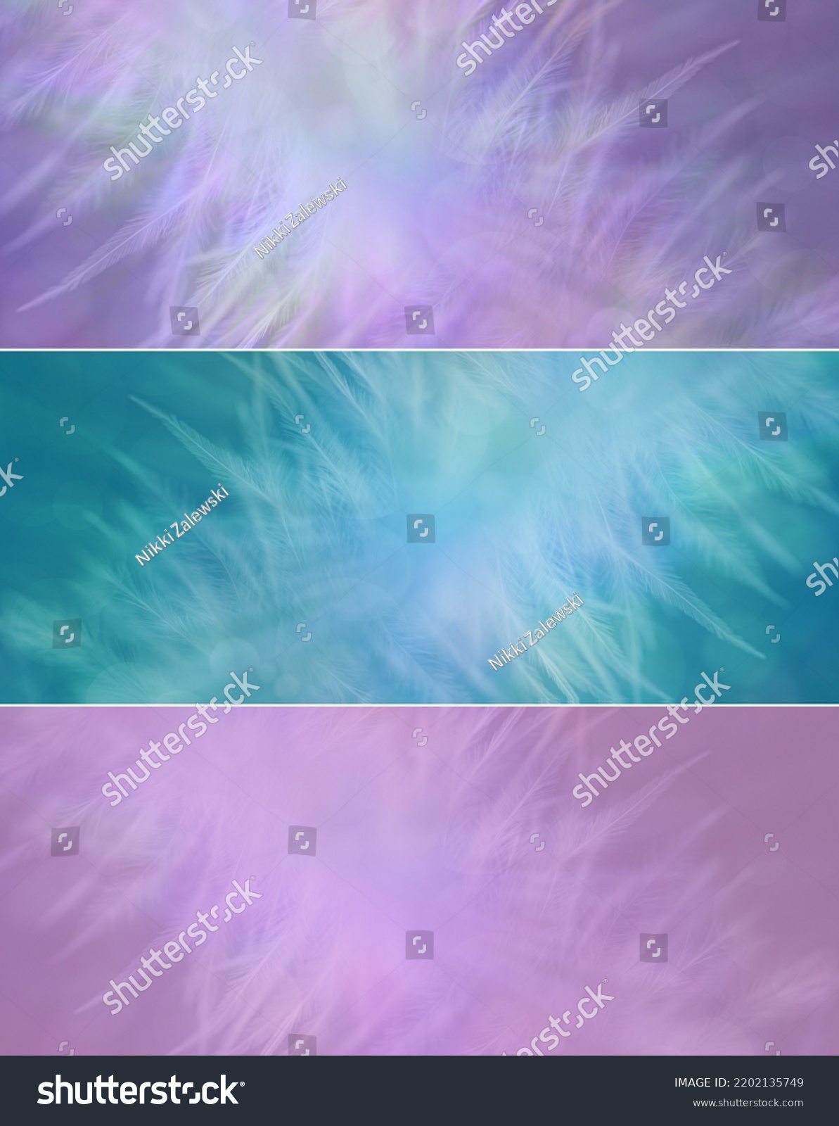 Three Different Fluffy Feather Backgrounds 3 Stock Photo 2202135749