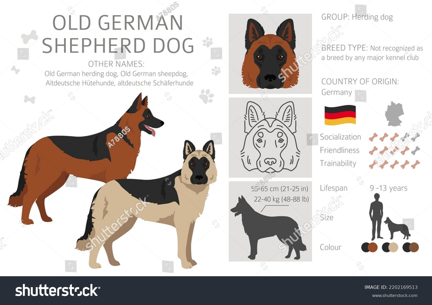 Old German Shepherd Dog Clipart Different Stock Vector (Royalty Free ...