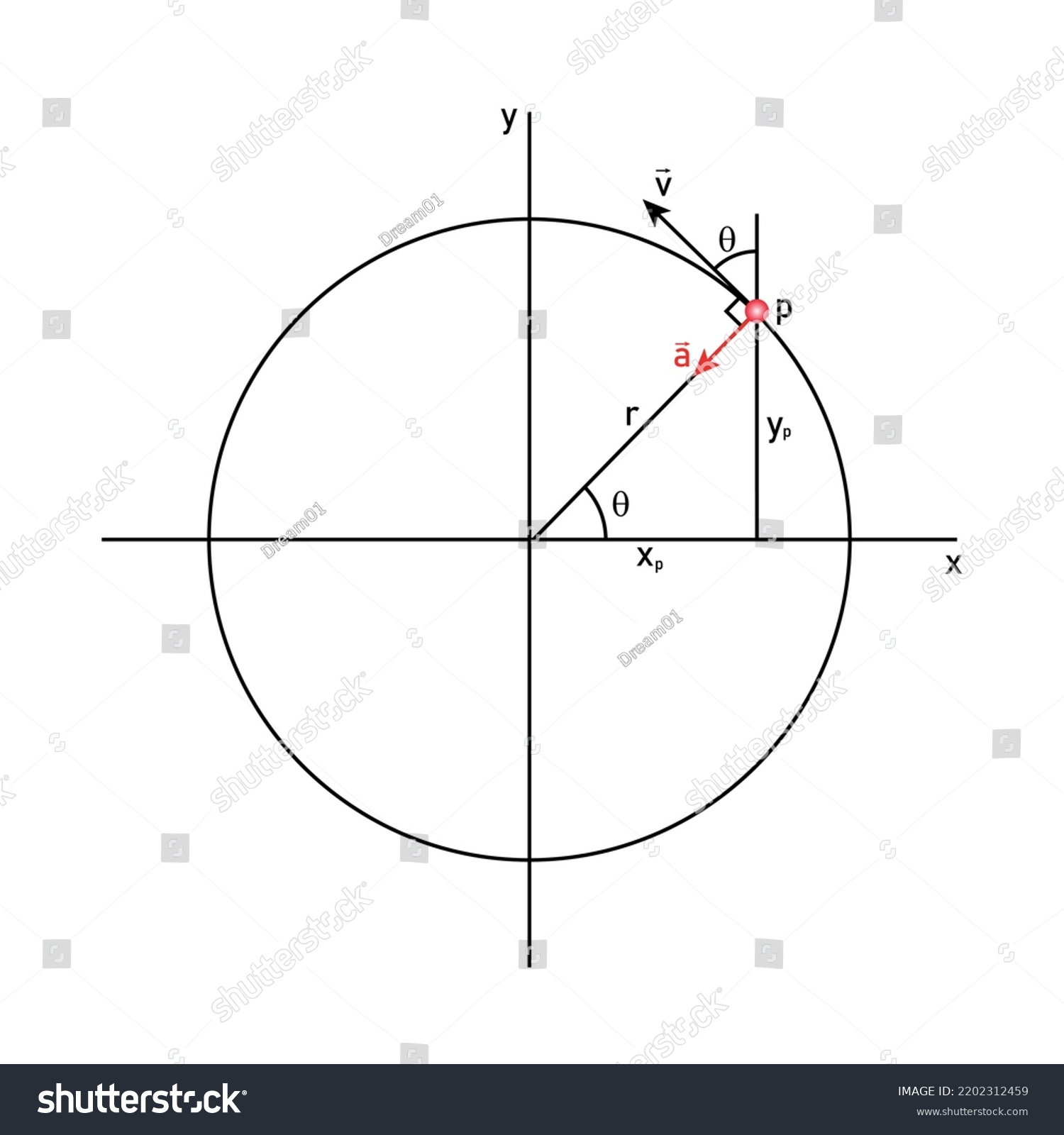 Uniform Circular Motion Diagram Velocity Acceleration Stock Vector ...