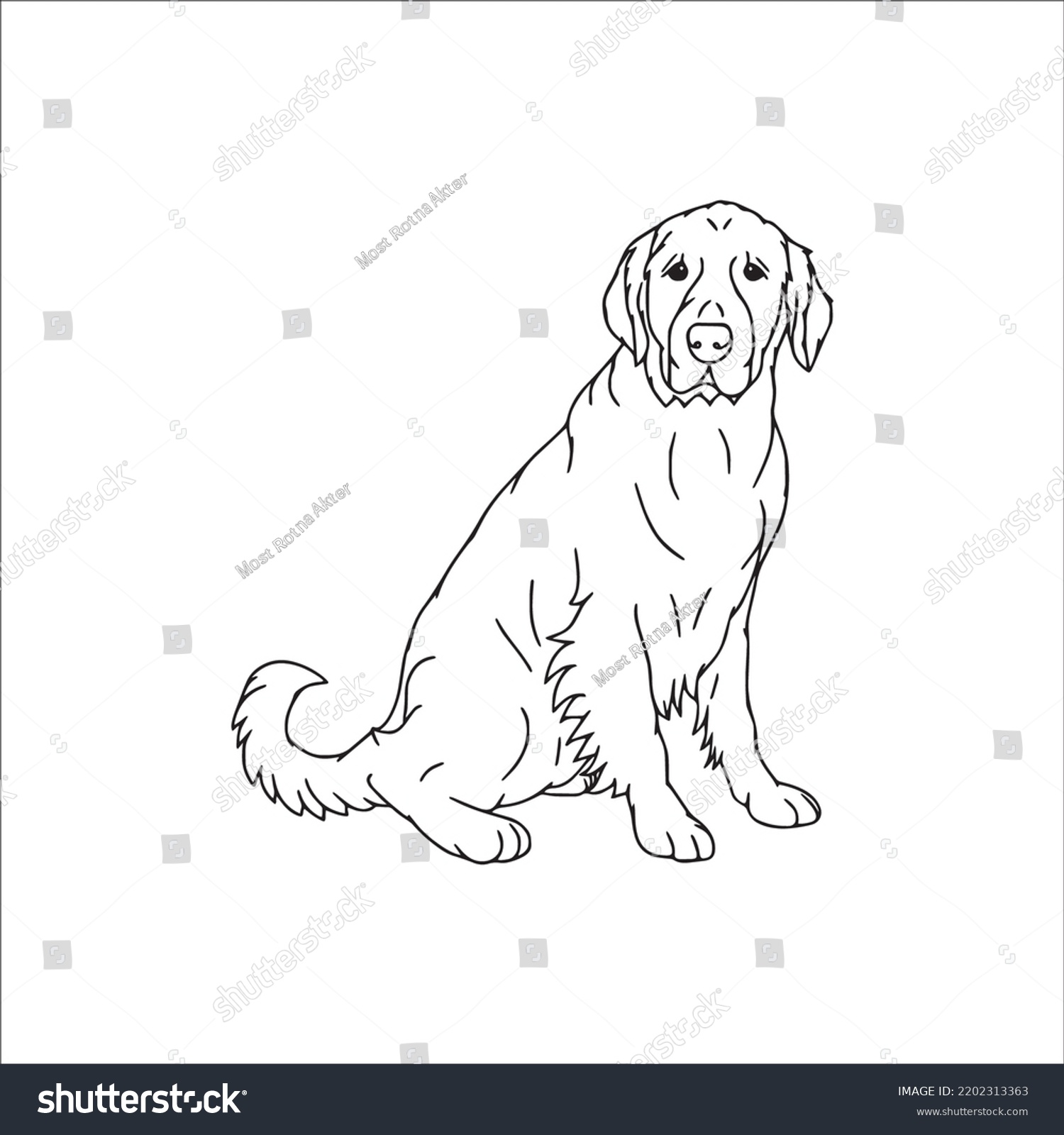 Labrador Line Art Labrador Line Drawing Stock Vector (Royalty Free