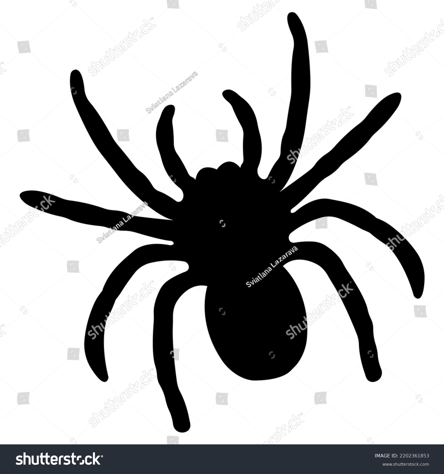 Silhouette Black Spiderspider Closeuplarge Scary Spider Stock Vector