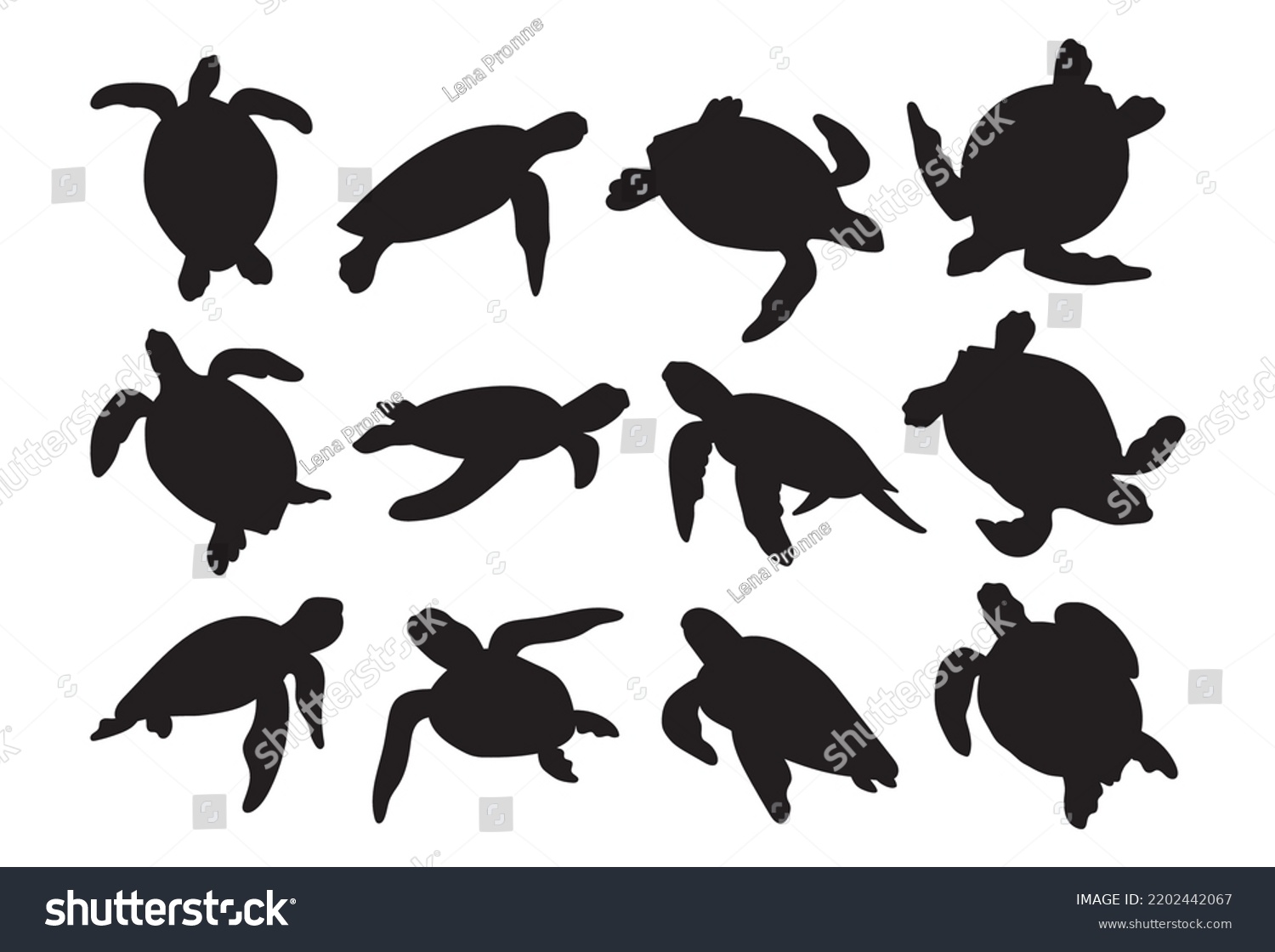 Sea Turtle Stencil Template Bundle Isolated Stock Vector (Royalty Free ...