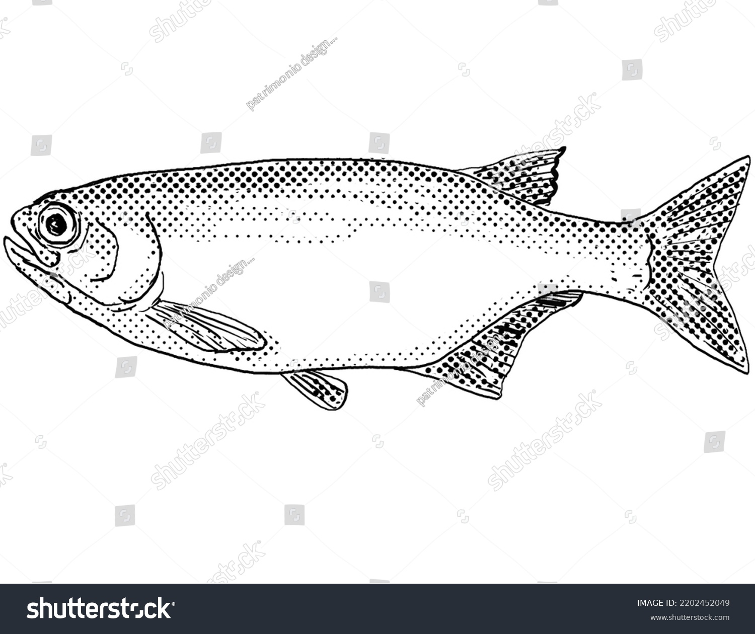 goldeye fish