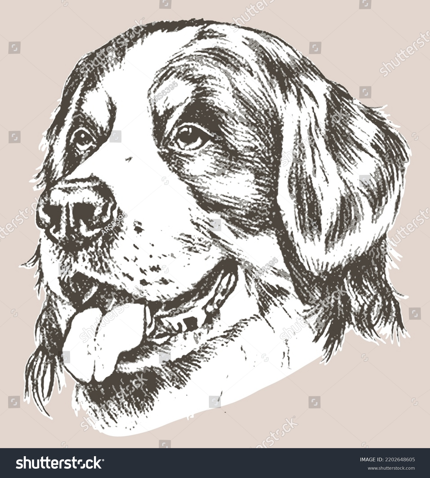 Hand Drawn Portrait Bernese Mountain Dog Stock Vector (Royalty Free ...