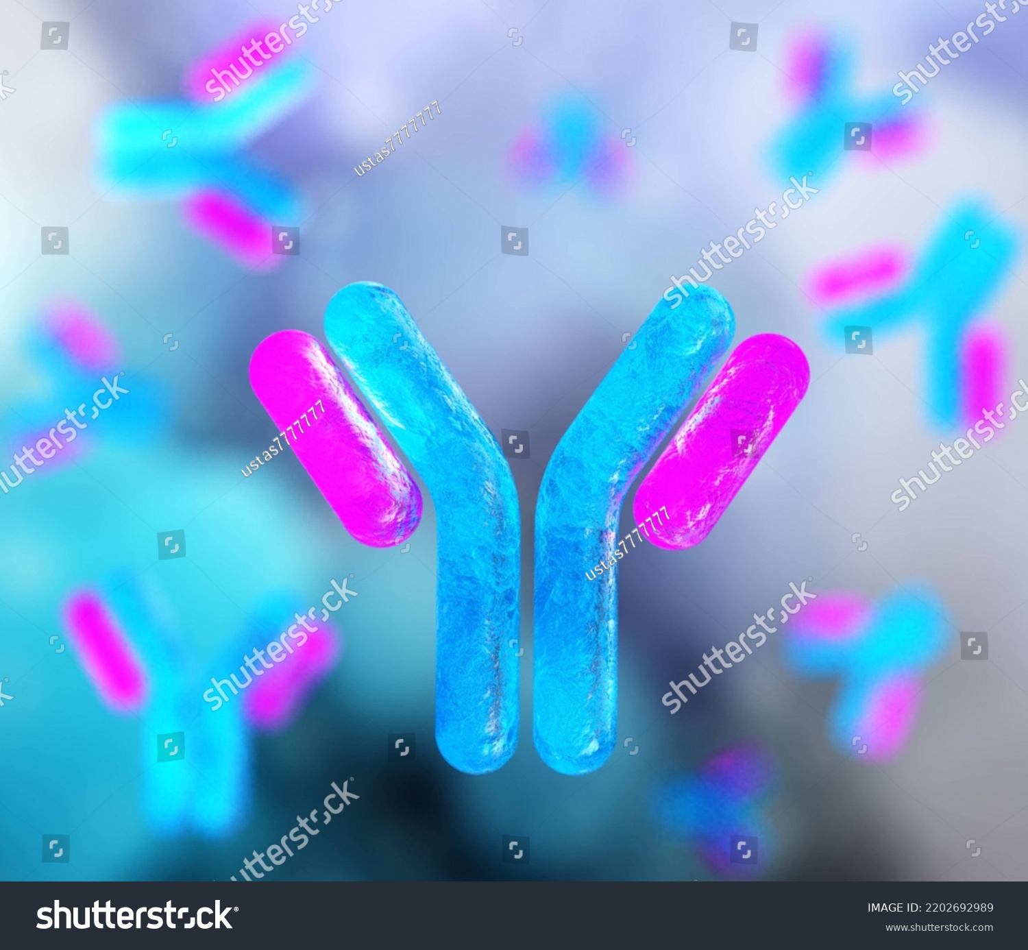 Antibody Chromosomes Antibodies Blood Plasma Globular Stock ...