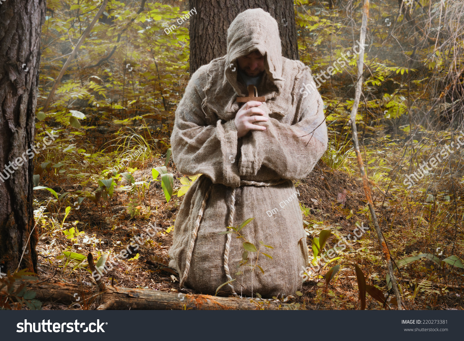 Medieval Monk Praying Misty Forest Stock Photo 220273381 | Shutterstock