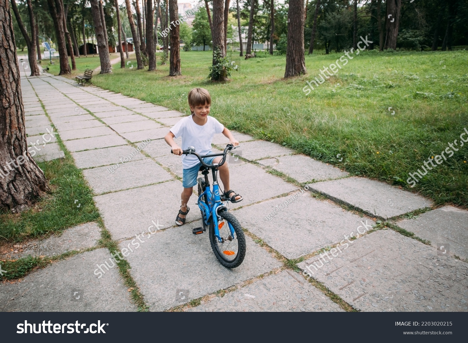 Little Cute Boy Denim Shorts White Stock Photo 2203020215 | Shutterstock