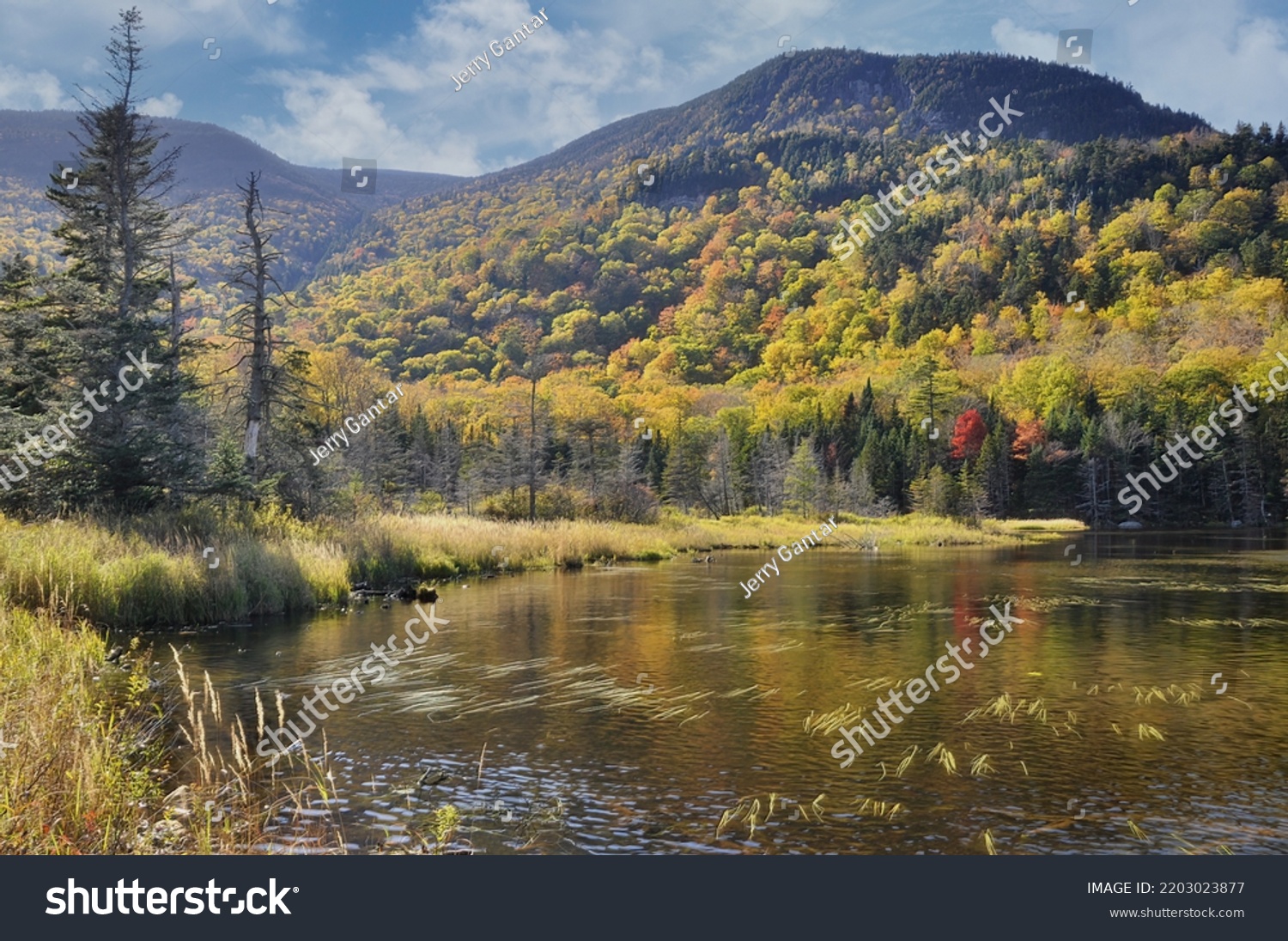 Autumn Scene White Mountain National Forest Stock Photo 2203023877  Shutterstock