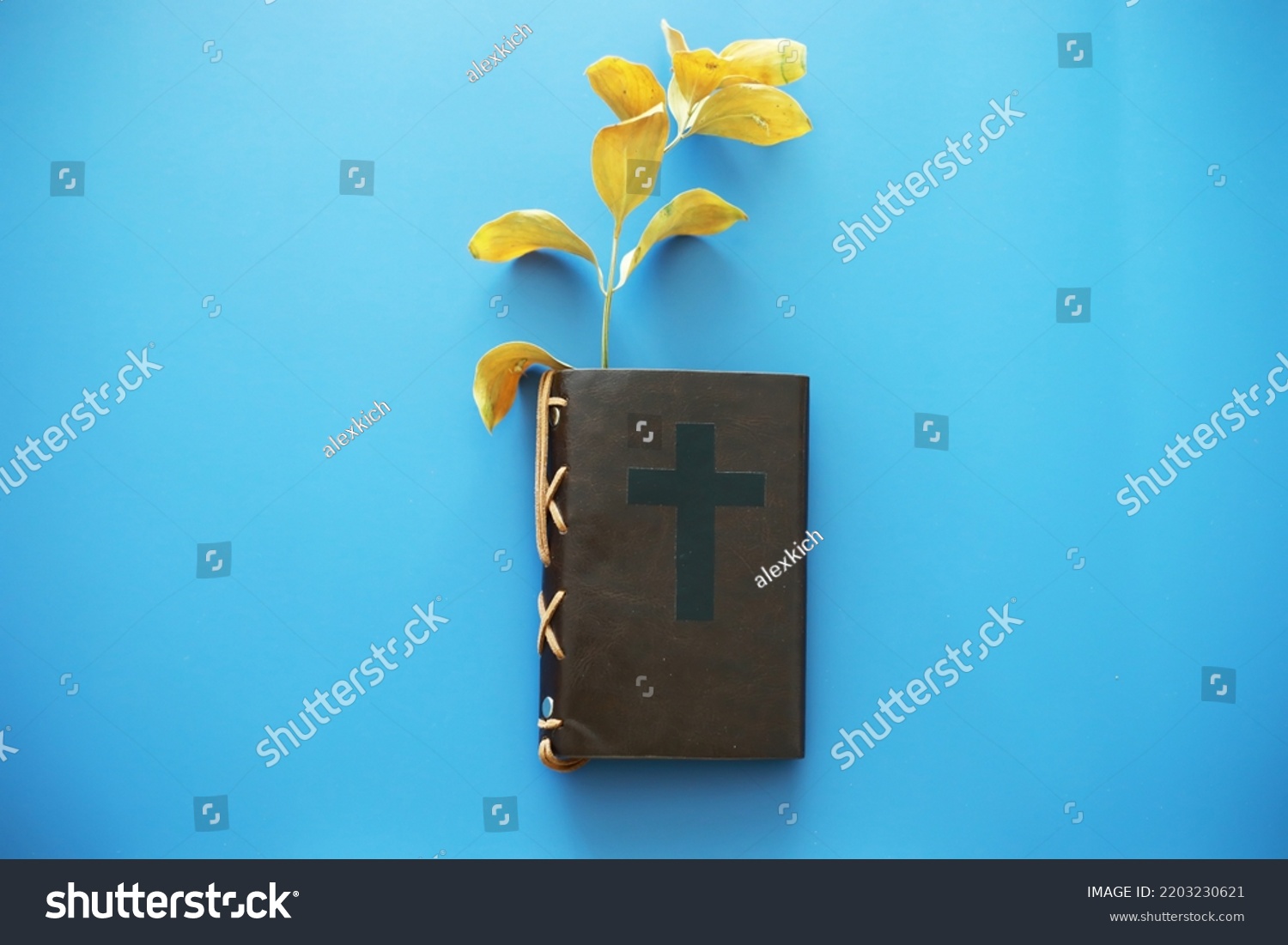 book-symbol-cross-bible-study-religious-stock-photo-2203230621