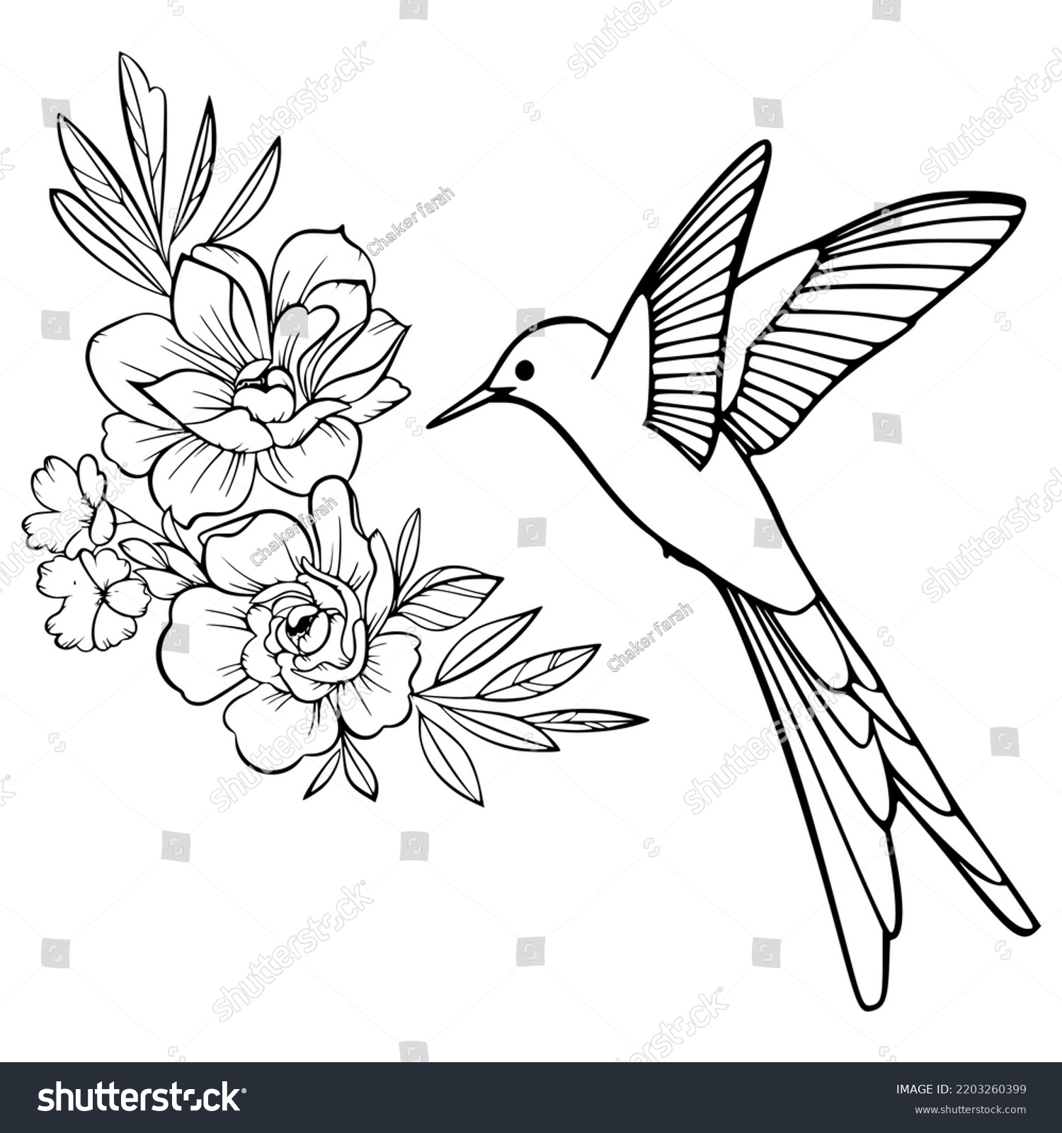 Hummingbird Flowers Silhouette Hummingbird Vector Stock Vector (Royalty ...