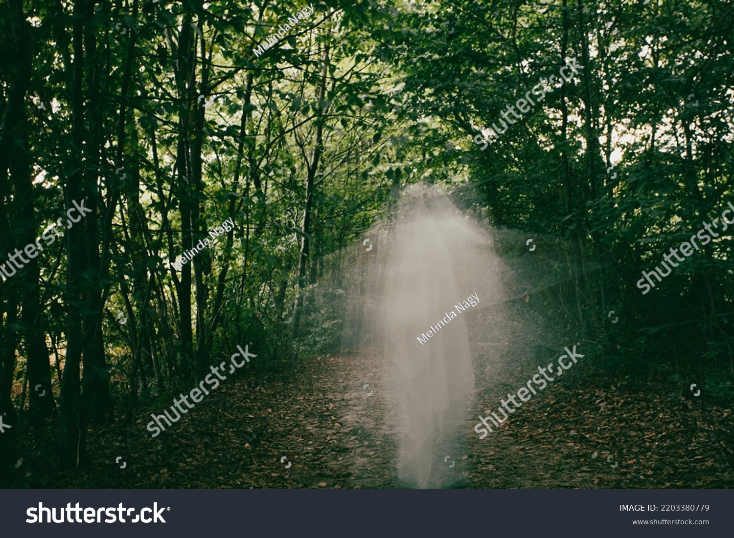 Horror Background Ghostly Figure Enchanted Forest Stock Photo