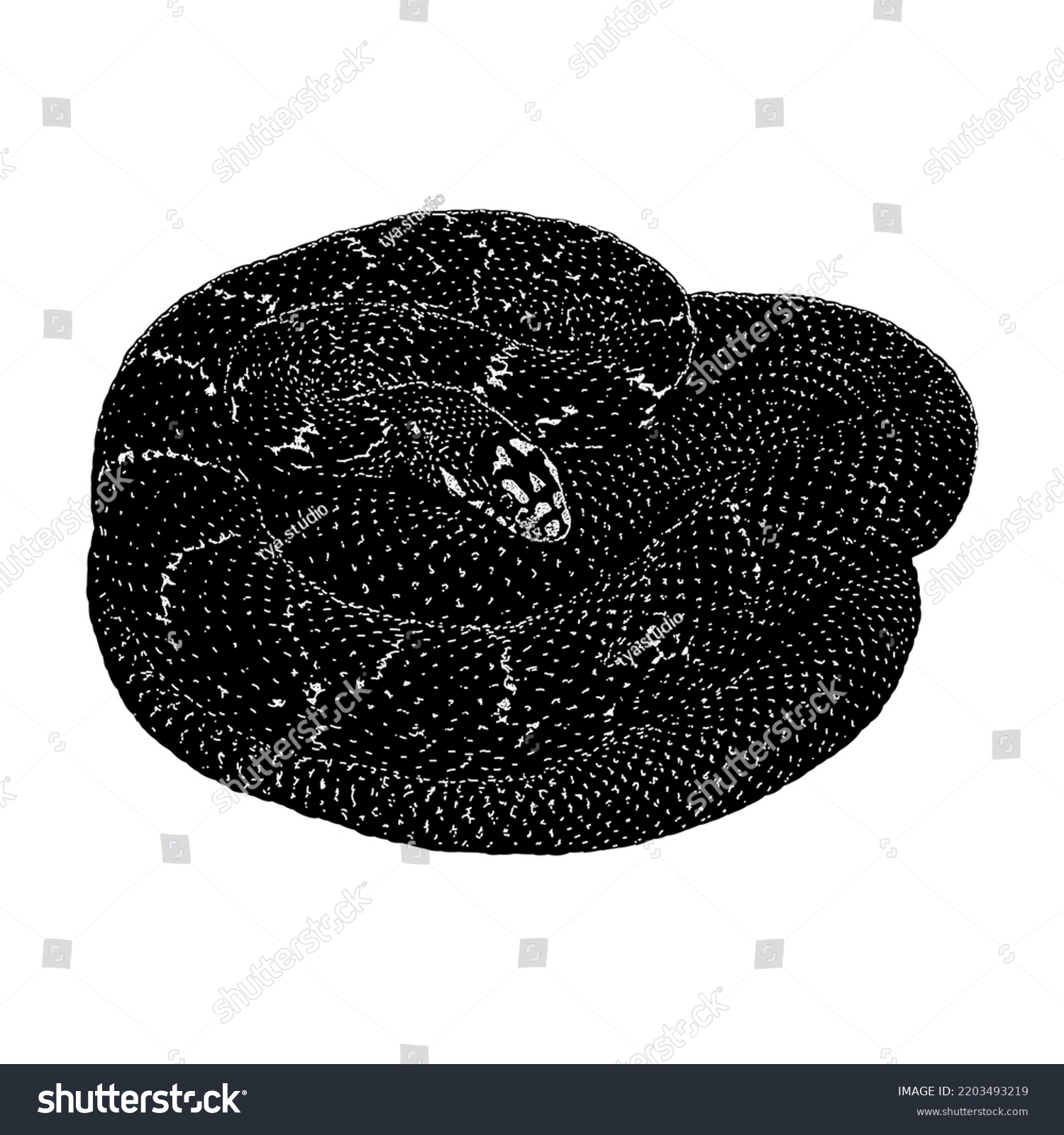 King Rat Snake Hand Drawing Vector Stock Vector (Royalty Free ...