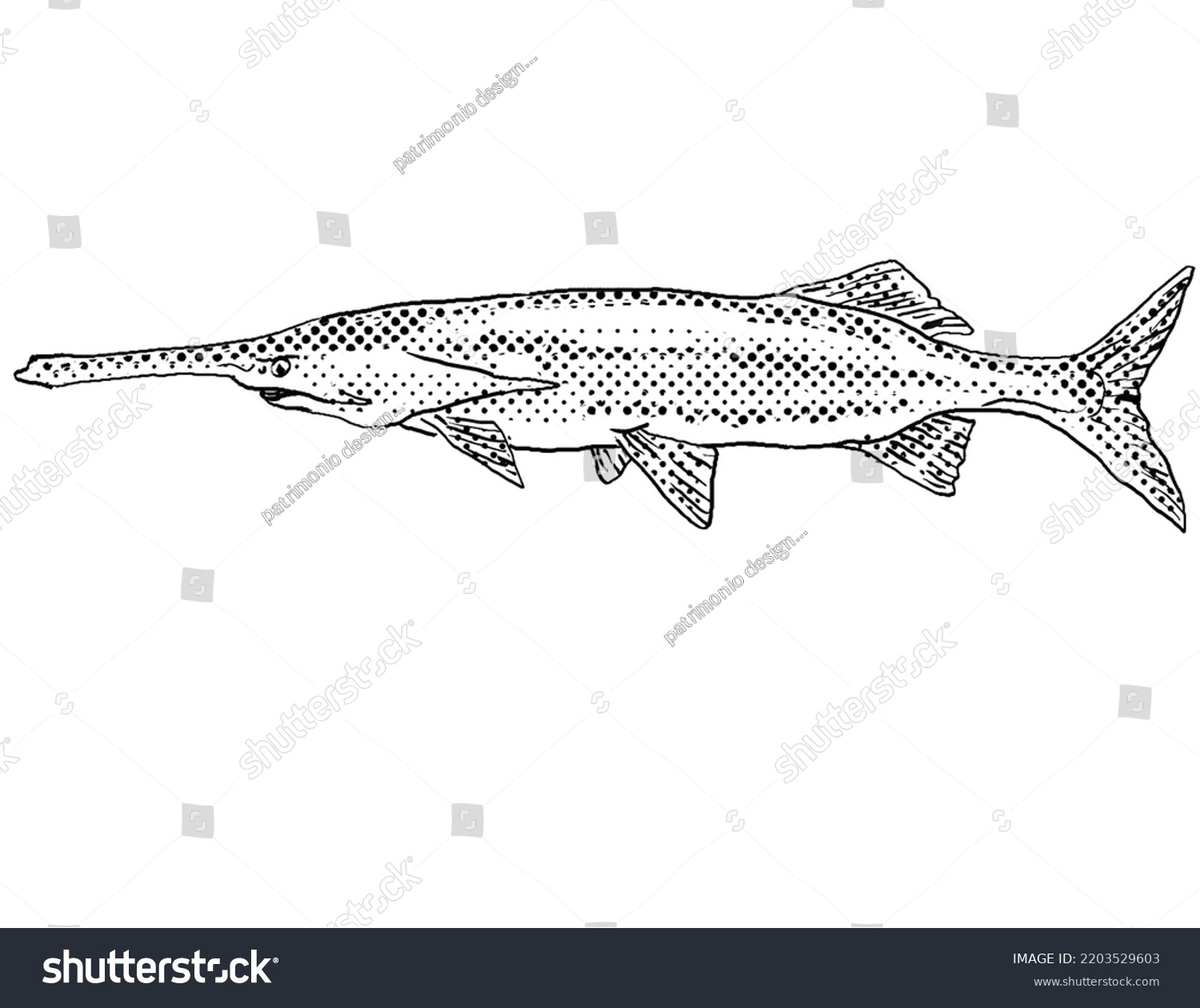 Cartoon Style Line Drawing American Paddlefish Stock Illustration ...