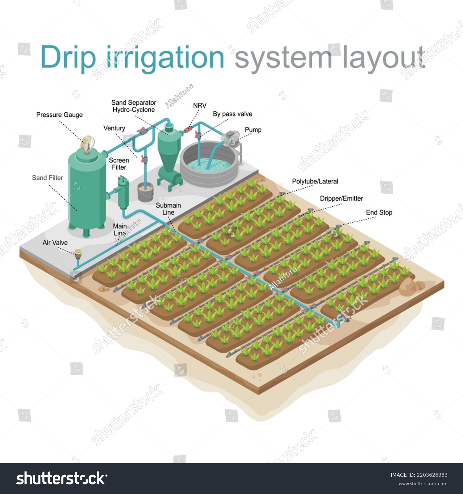 Drip Irrigation System Layout Isometric Stock Vector (Royalty Free ...