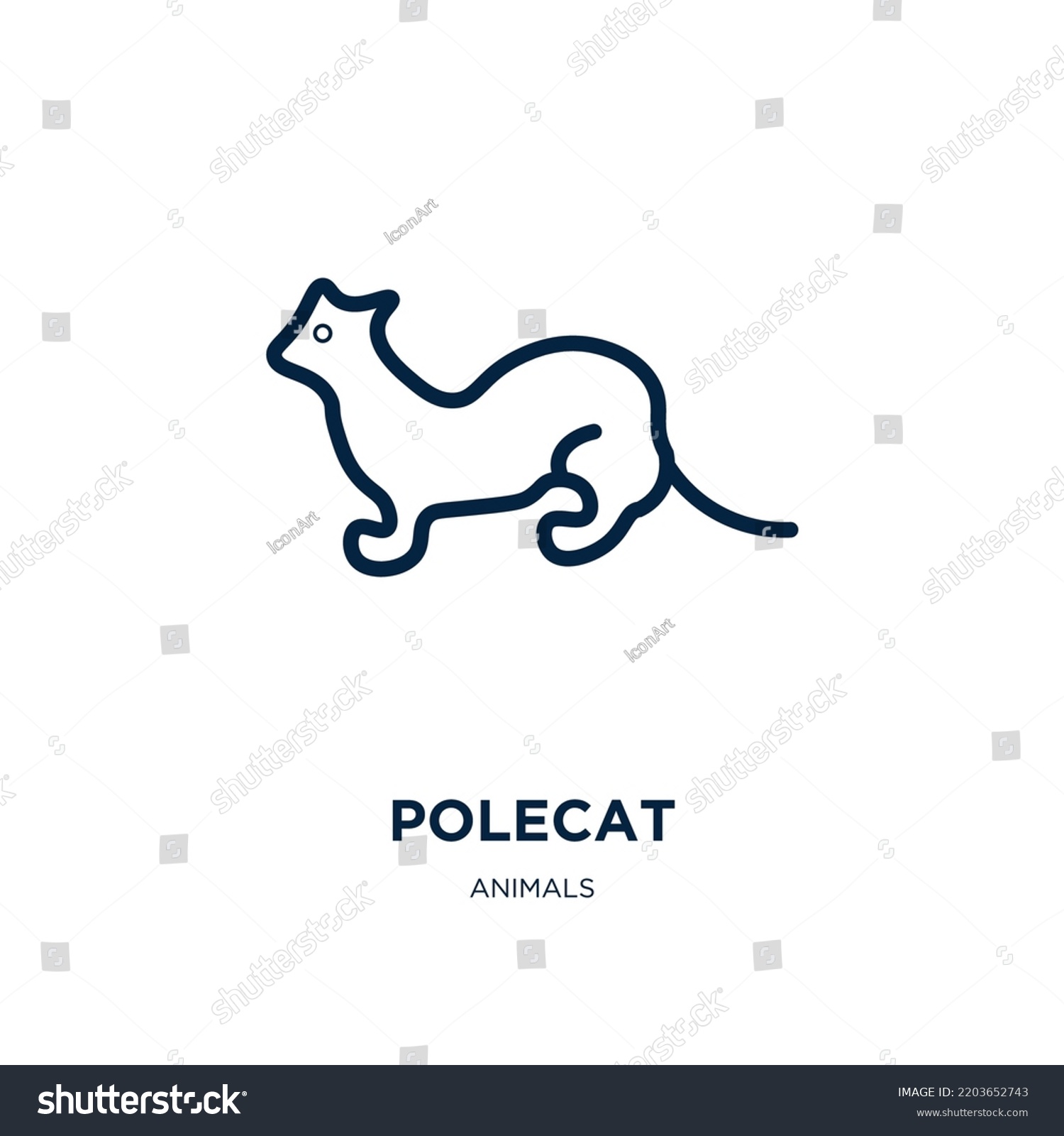 Polecat Icon Animals Collection Thin Linear Stock Vector (Royalty Free ...