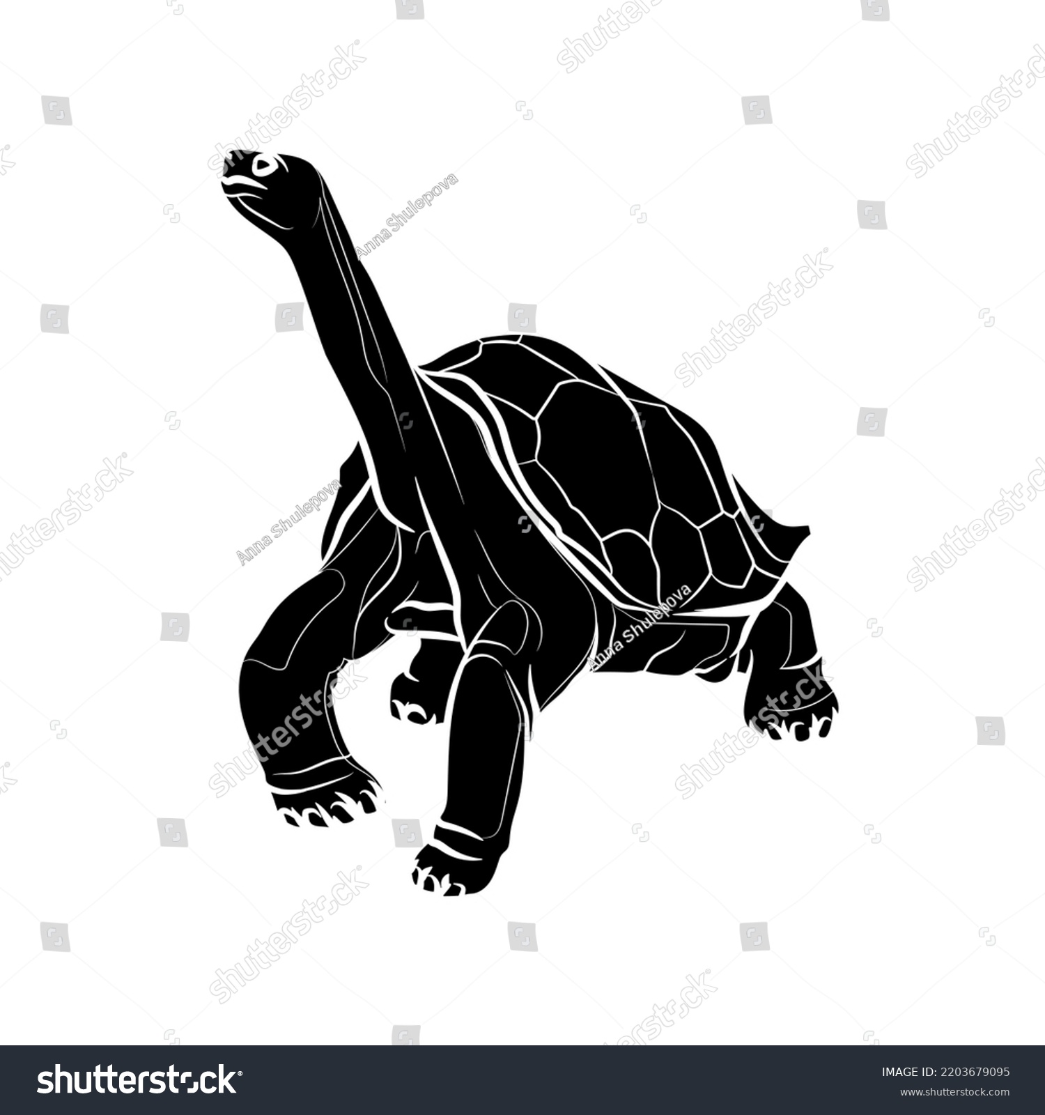 Black Silhouette Tortoise On White Background Stock Vector (Royalty ...