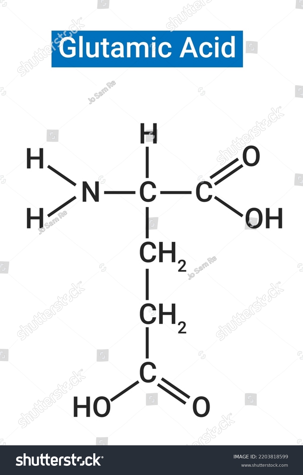 Chemical Structure Glutamic Acid Stock Vector (Royalty Free) 2203818599 ...