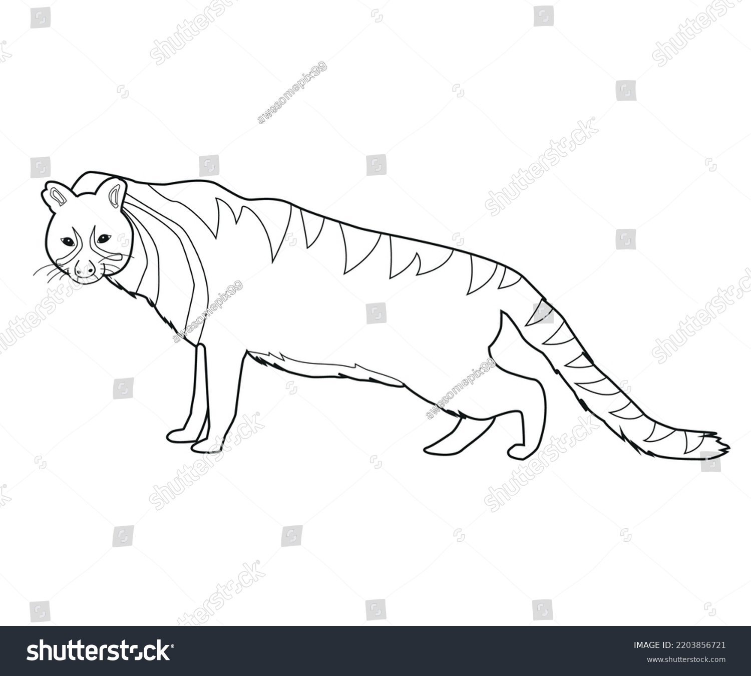 Civet Graphic Line Art Kids Colouring Stock Vector (Royalty Free ...