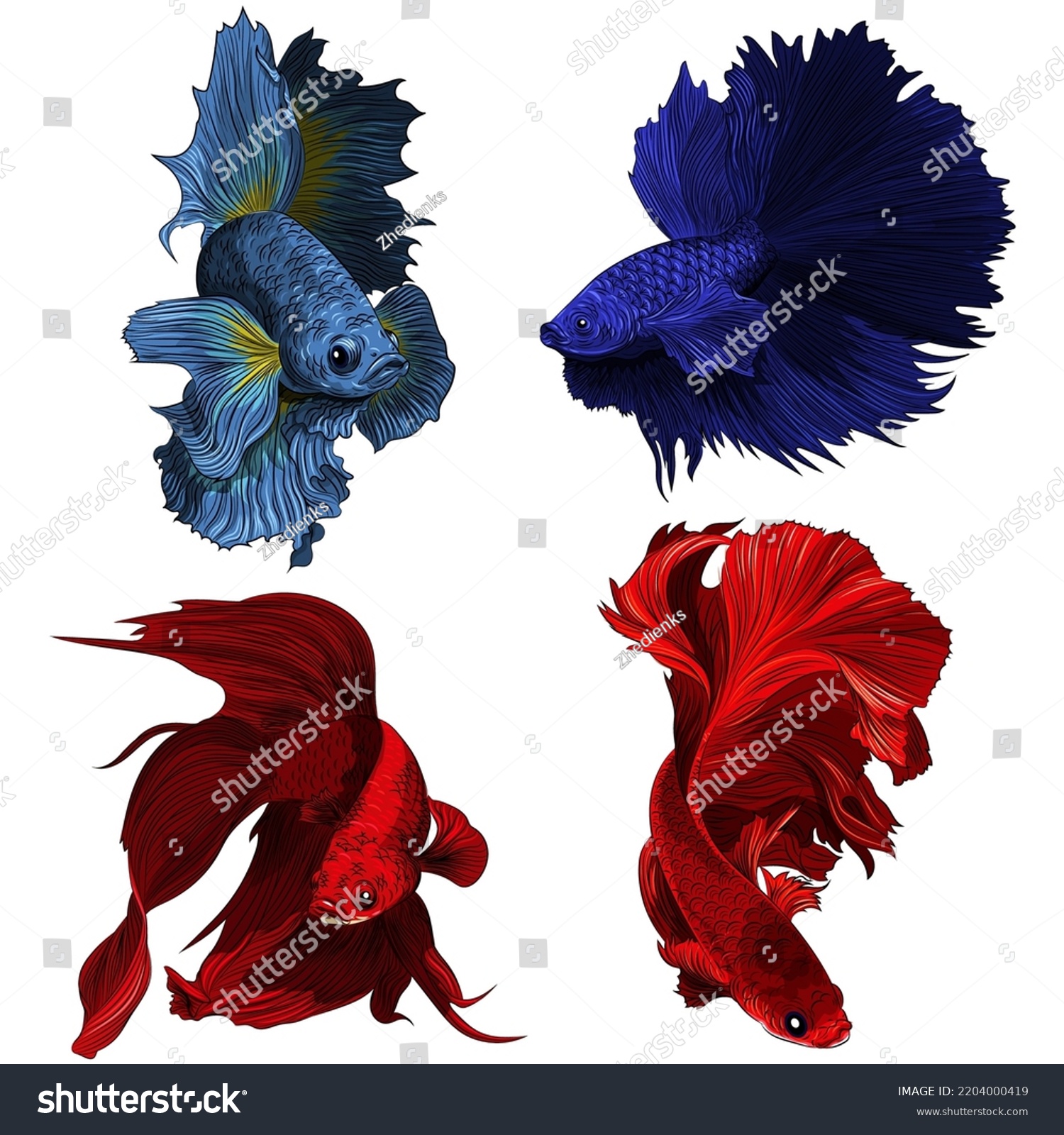 Set Beautiful Colorful Betta Fish Vector Stock Vector (Royalty Free ...