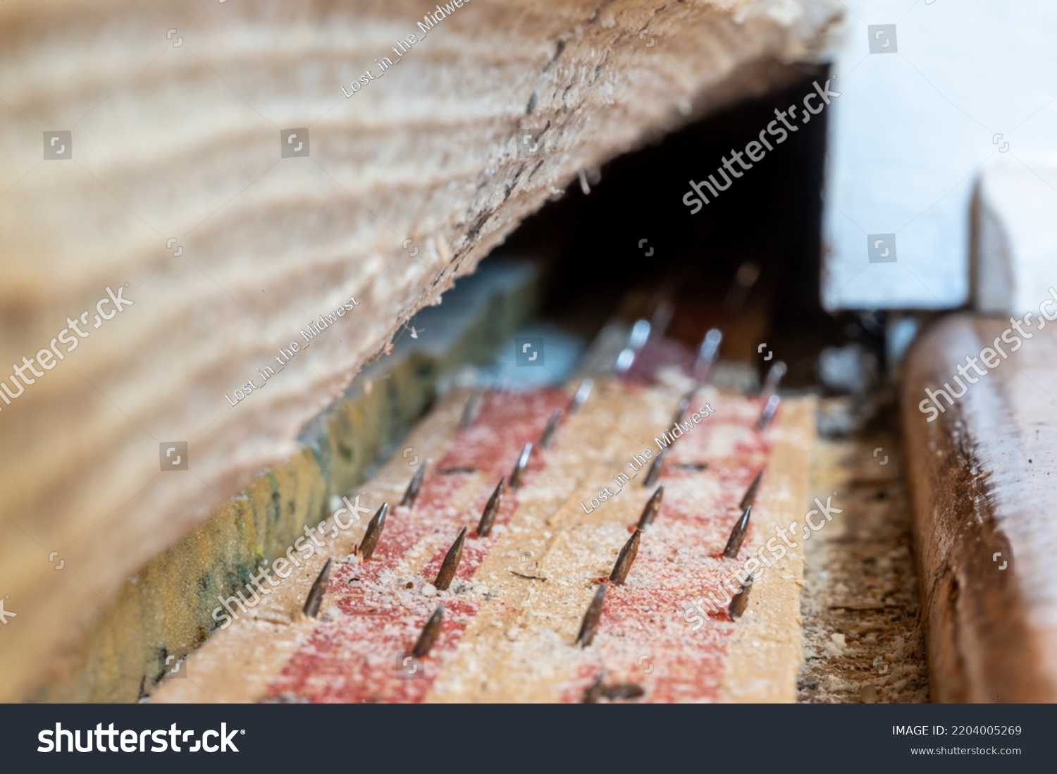 Carpet Tack Strip Exposed During Flooring Stock Photo 2204005269