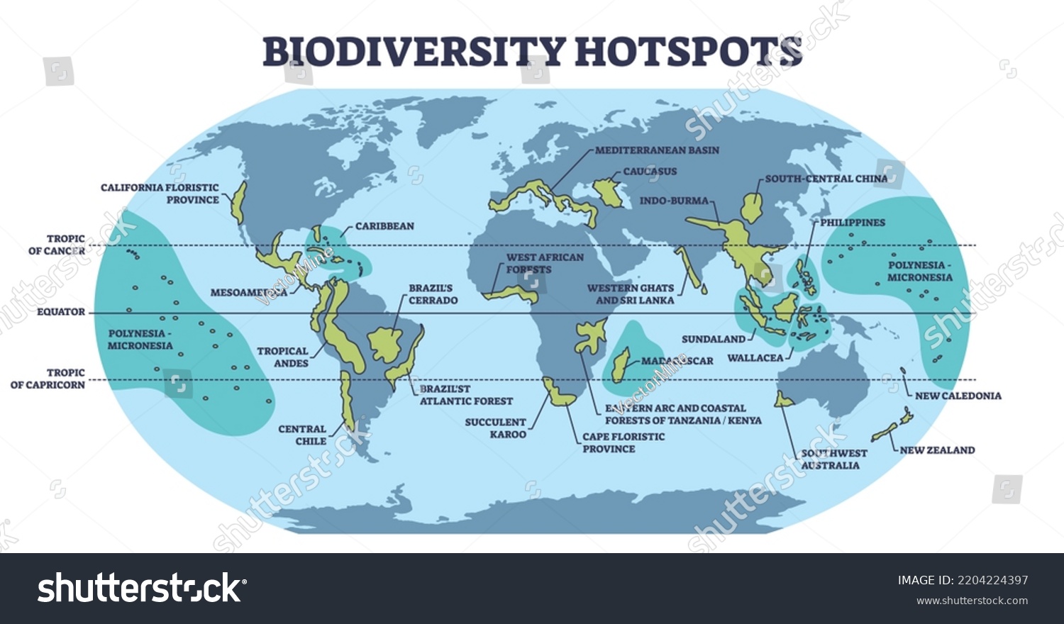 Biodiversity Hotspots Life Species Variety On Stock Vector (Royalty ...