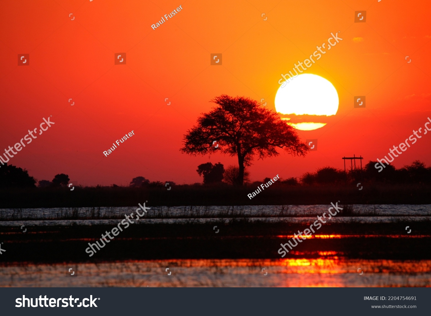 14 Africa Atardecer Images, Stock Photos & Vectors | Shutterstock