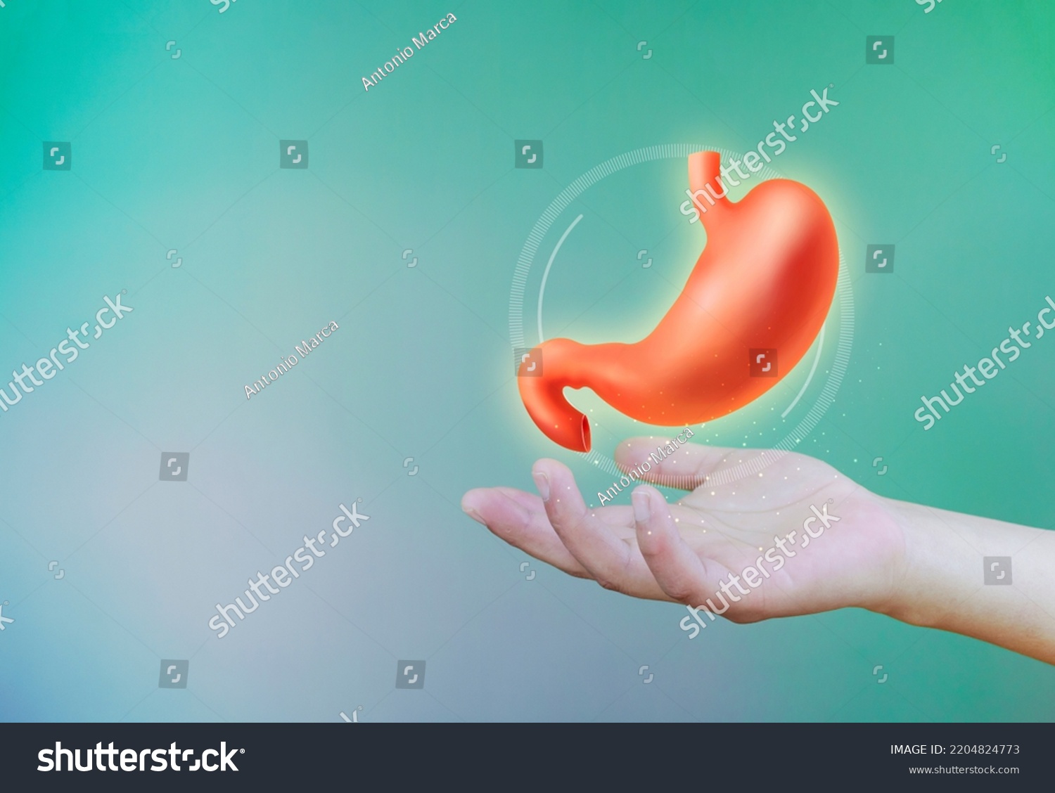 512-stomach-extension-images-stock-photos-vectors-shutterstock