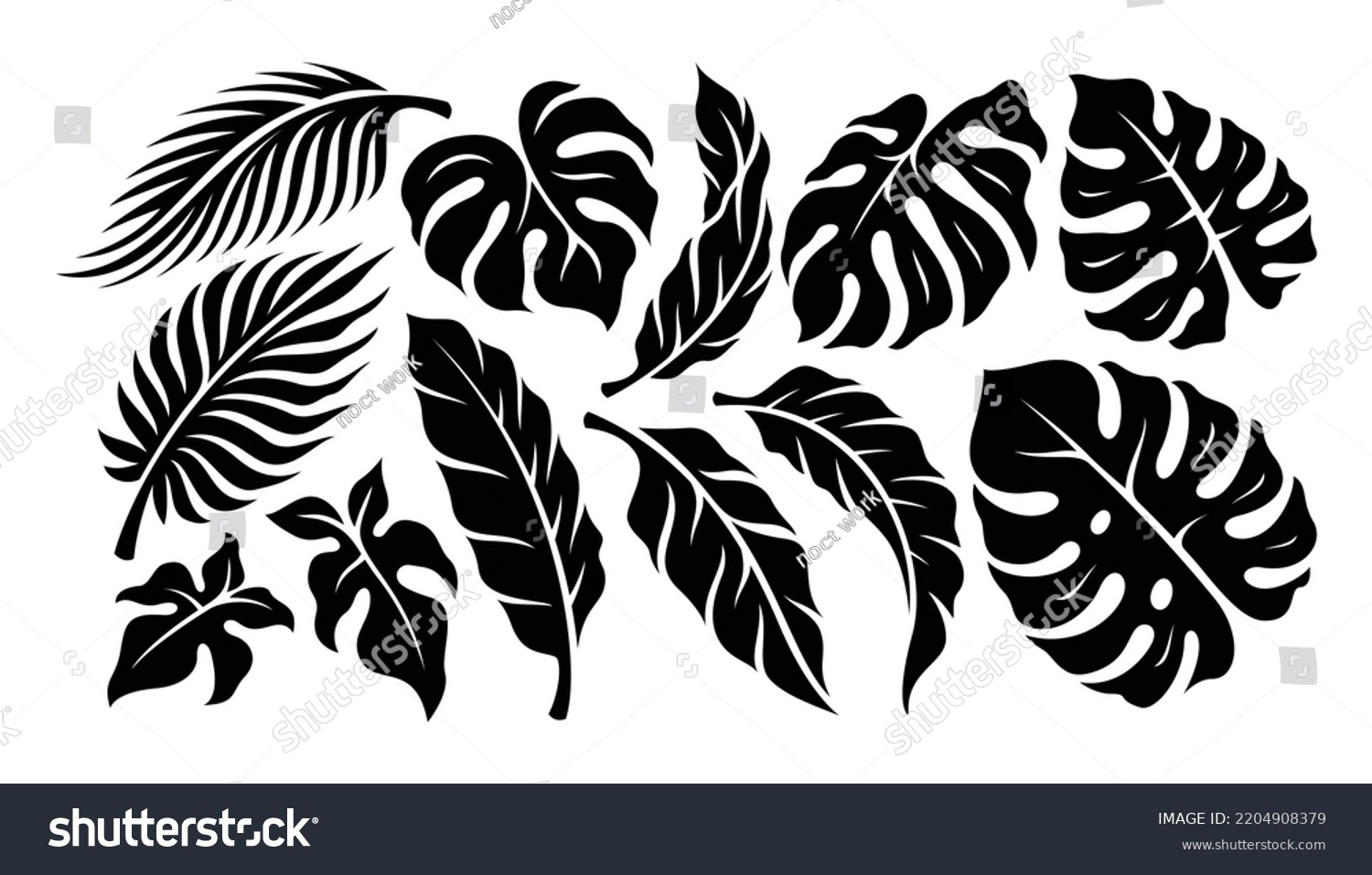 Tropical Leaves Set Collection Exotic Plants Stock Vector (Royalty Free ...