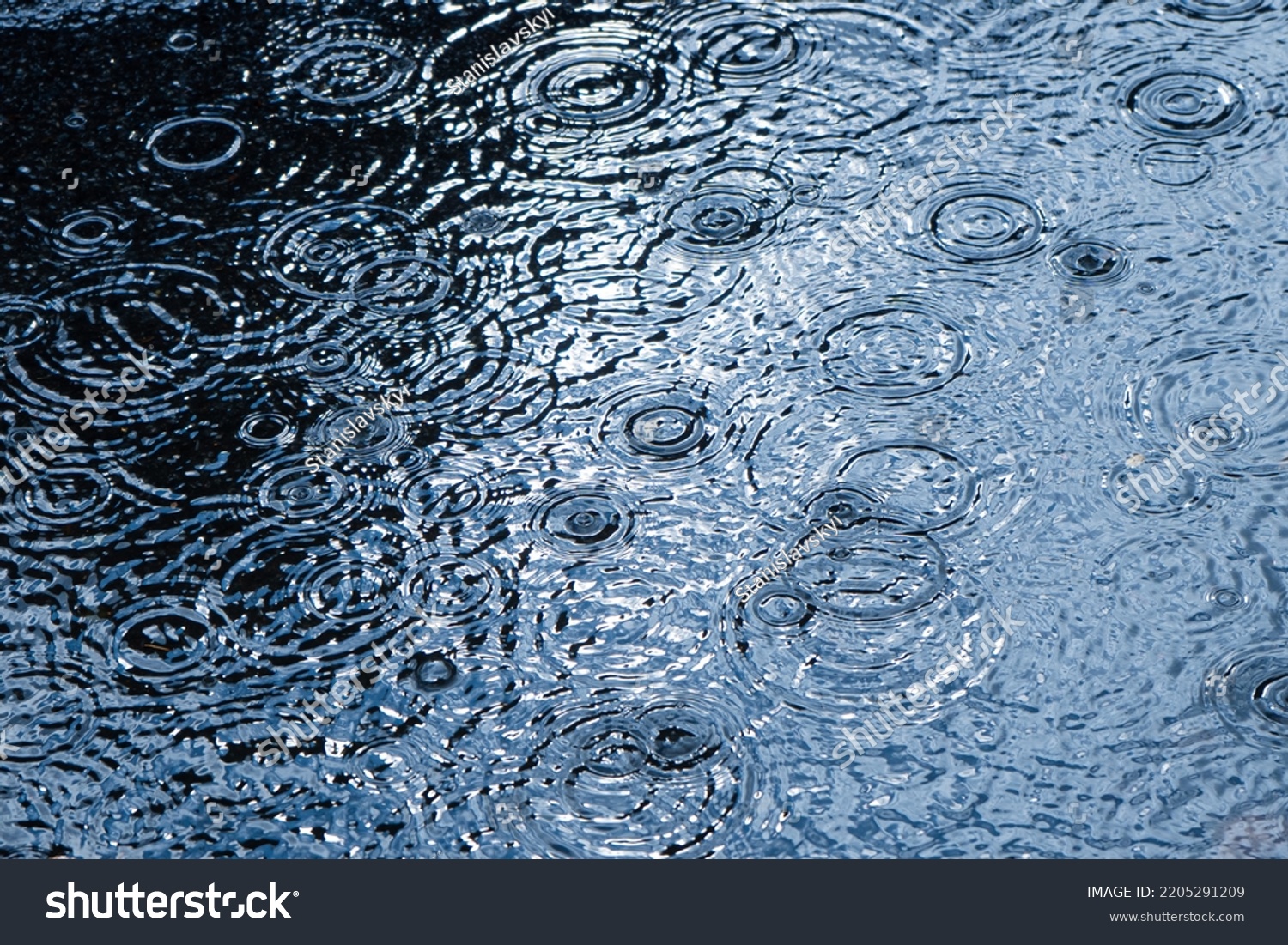 Rain Background Raindrops Puddle Circles On Stock Photo 2205291209 ...