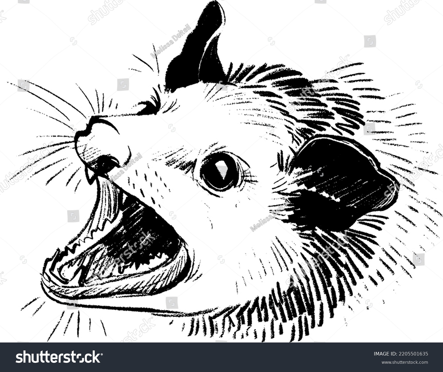 Hand Drawn Sketch Screaming Possum Stock Vector (Royalty Free