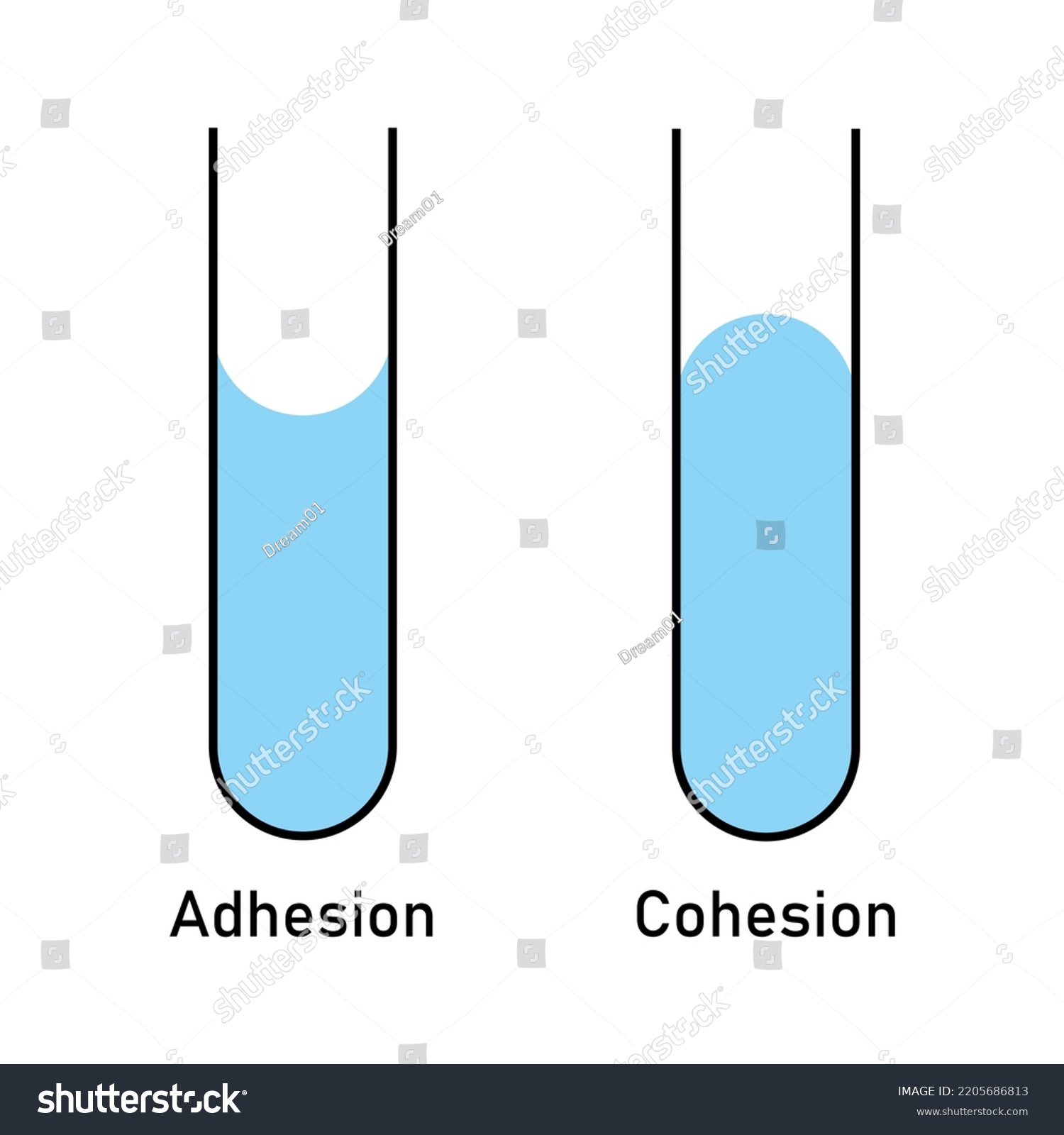 Adhesion Cohesion Water Stock Vector (Royalty Free) 2205686813 ...