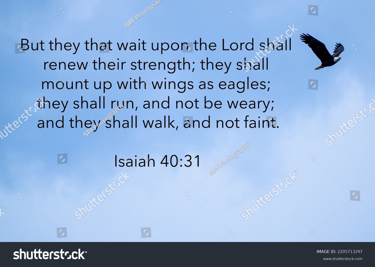 Isaiah 4031 Bible Verse Bald Eagle Stock Photo 2205713297 Shutterstock