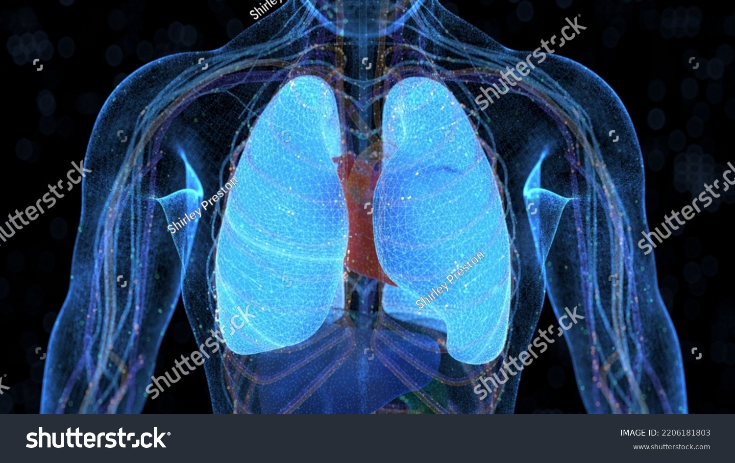 3d Rendering Computer Generated Human Body Stock Illustration ...