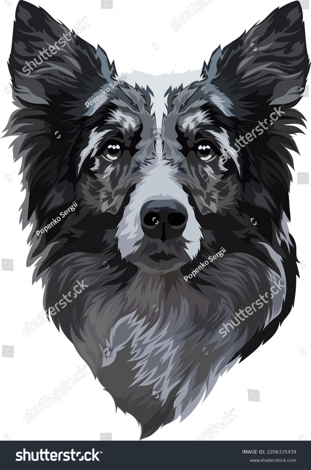 Border Collie Portrait Vector Illustration Head Stock Vector (Royalty ...