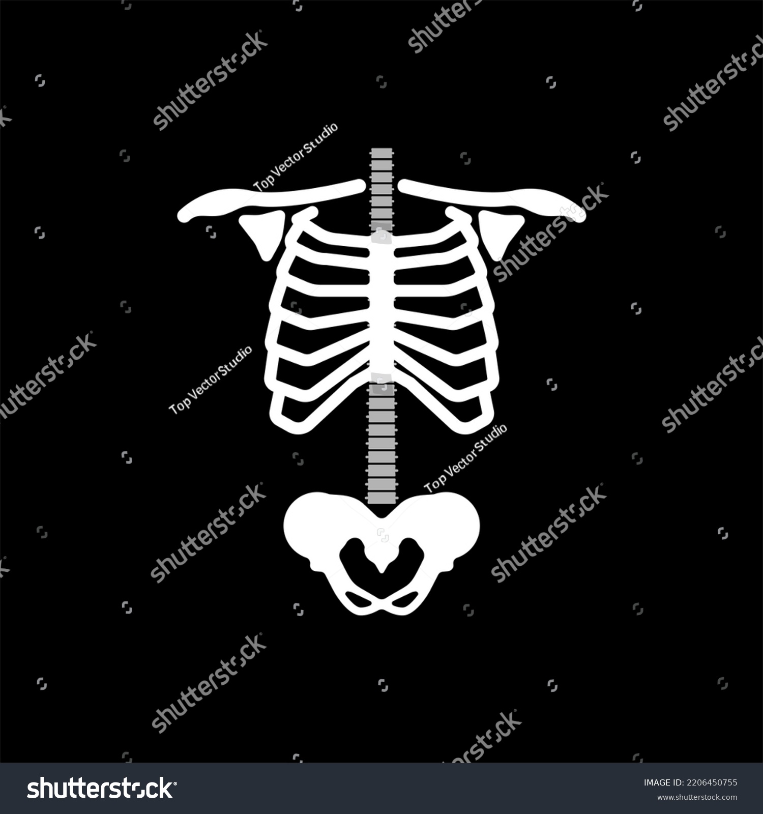 Rib Cage Ribs Spine Hip Bone Stock Illustration 2206450755 | Shutterstock