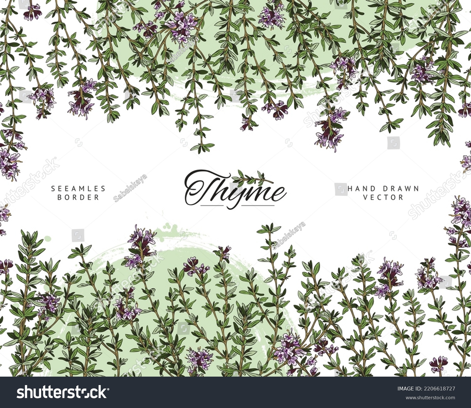 Thyme Seamless Border Frame Design Herbal Stock Vector (Royalty Free