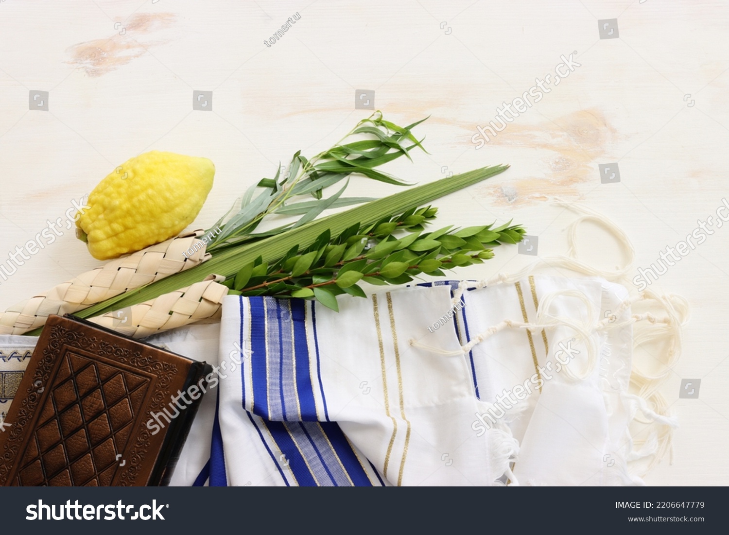 Jewish Festival Sukkot Traditional Symbols Four Stock Photo 2206647779 ...