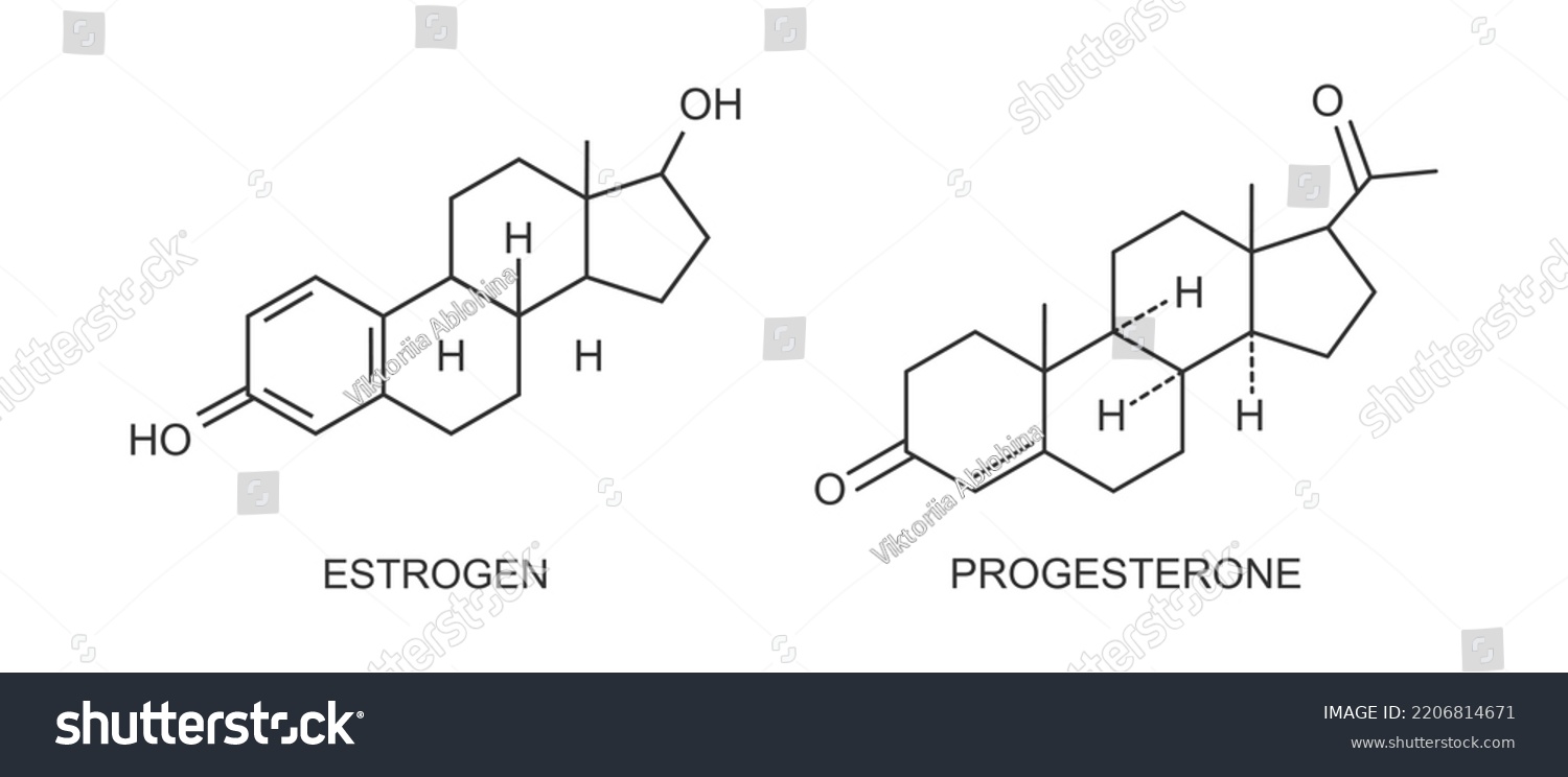 Estrogen Progesterone Icons Female Reproductive Sex Stock Vector Royalty Free 2206814671 8710