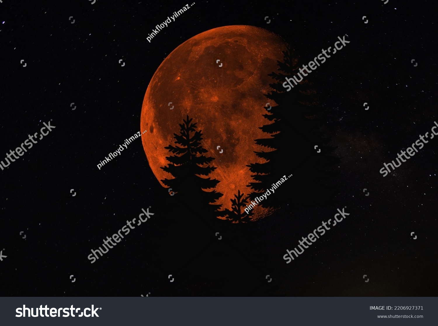 Full Moon Tree Silhouette Dusk Stock Photo 2206927371 | Shutterstock