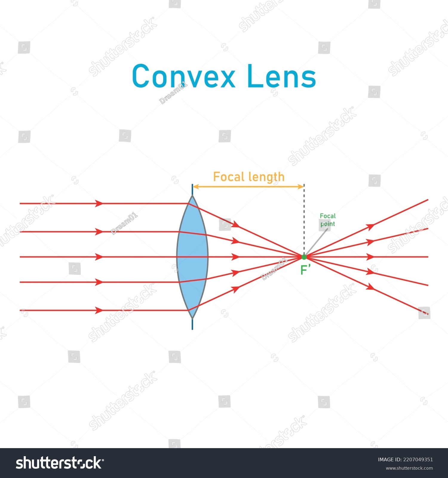 Convex Lens Schematic Diagram Optics Physics Stock Vector (Royalty Free ...