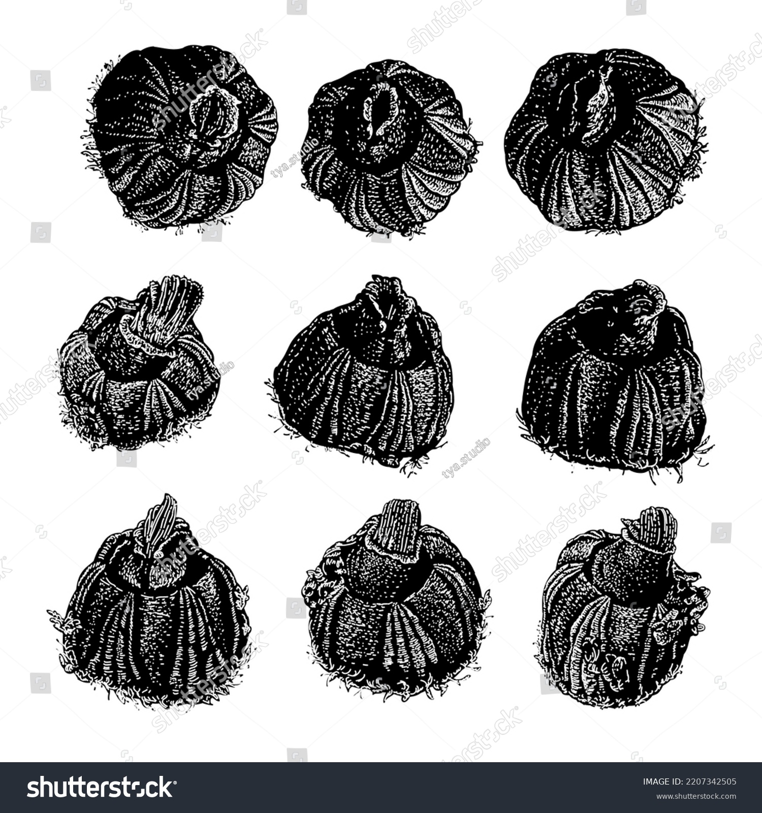 Barnacle Hand Drawing Vector Illustration Isolated Stock Vector