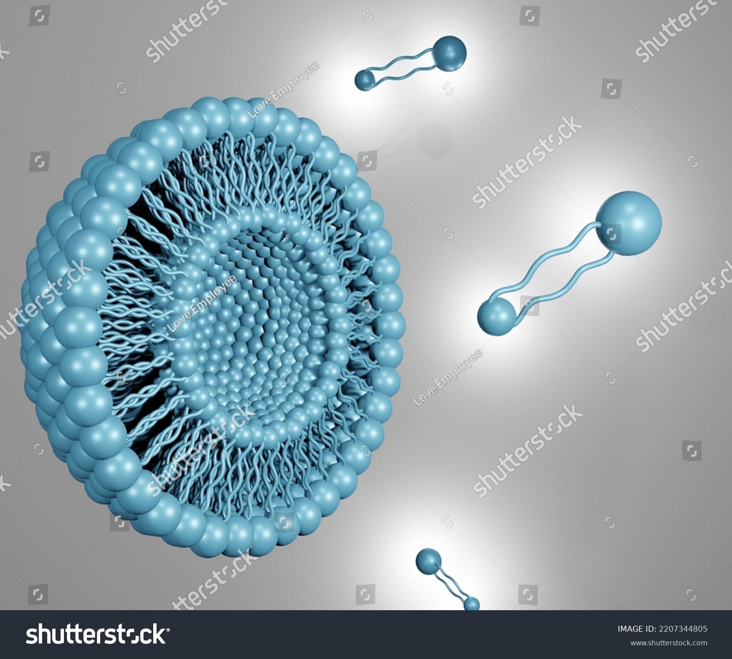 Archaeosomes Tetraether Lipids Membrane Layer 3d Stock Illustration ...