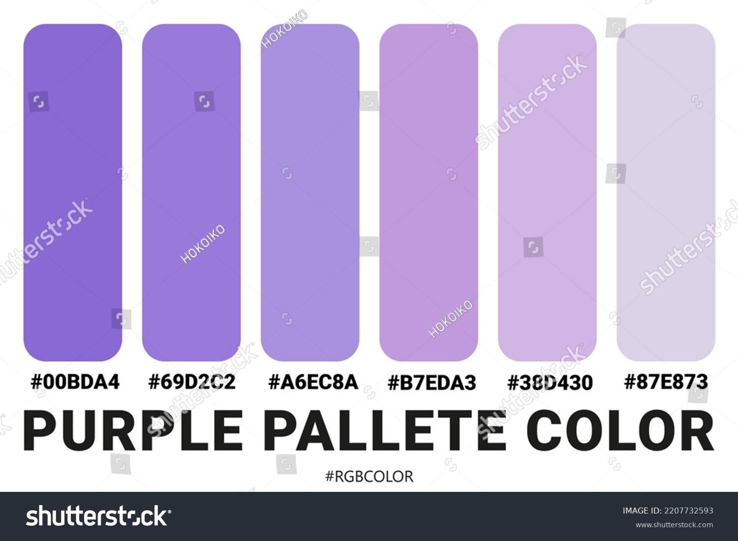 Collection Accurately Color Palettes Codes Perfect Stock Vector ...